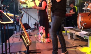 funkAlarm @ „Donau in Flammen 2015“ / Vilshofen